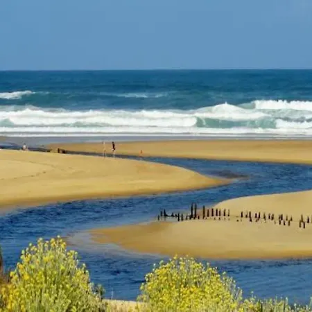 度假居 Maison A 300m De La Plage 莫列马阿