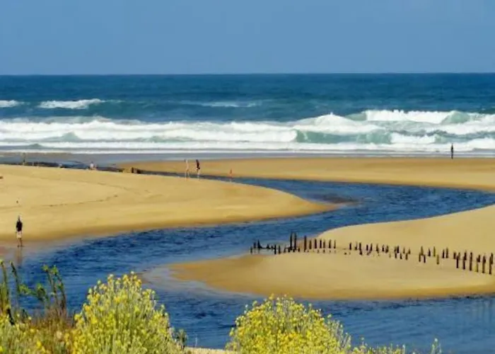 Vakantiehuis Maison A 300m De La Plage Moliets-et-Maa
